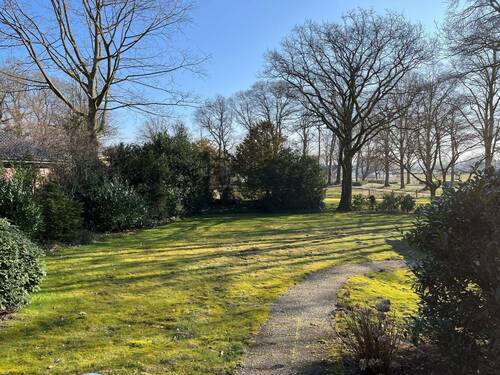 Blick in den hinteren Garten - 