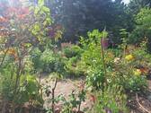 der Garten - Grundstück in Machern zum Kaufen