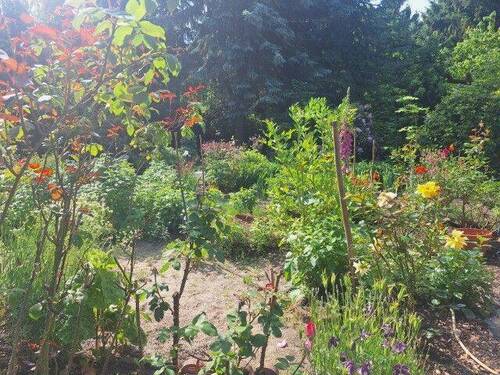 der Garten - Grundstück in Machern zum Kaufen