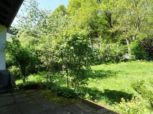 Blick in den Garten - 