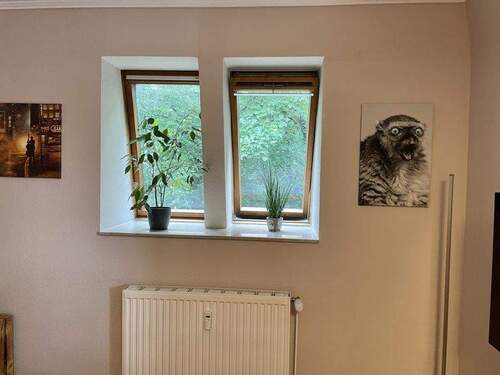 Dachflächenfenster - 