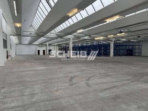 mehrere Oberlichtbänder - Halle zur Miete in Kupferzell