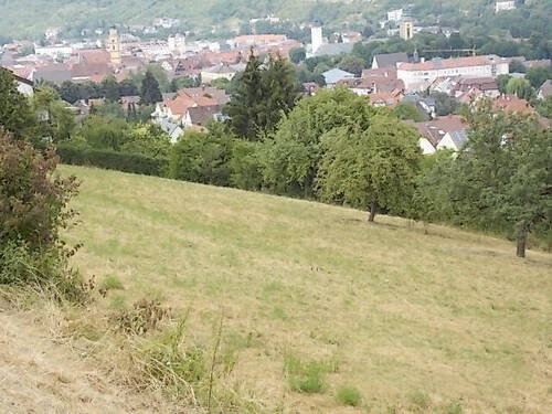 Bild2 - Grundstück zum Kaufen in Bad Mergentheim