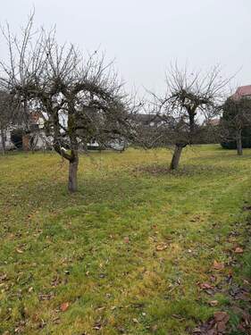 Außenbild - Grundstück in Villingen-Schwenningen zum Kaufen
