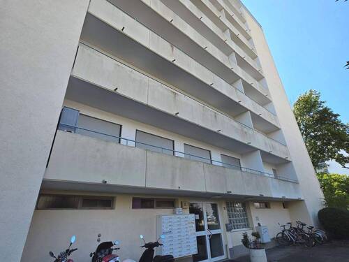 20250716_145435.jpg - 