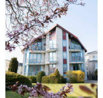 Renovierte 2 Zimmer Wohnung mit Sauna - Dahme