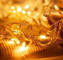 FUNKELNDE LICHTER IM EIGENEN GARTEN! Sie erhalten sogar den KfW-Zuschuss in Höhe von 26.250€! - Nürnberg Laufamholz FUNKELNDE LICHTER IM EIGENEN GARTEN! Sie erhalten sogar den KfW-Zuschuss in Höhe von 26.250€! - Nürnberg Laufamholz