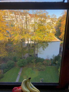 Blick Garten - 