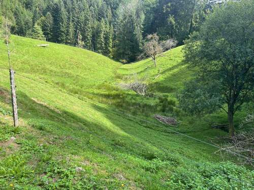 Bild 13 - 