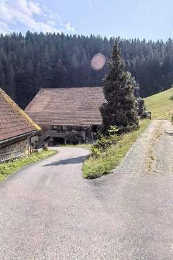 Bild 15 - 