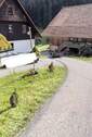 Bild 16 - 