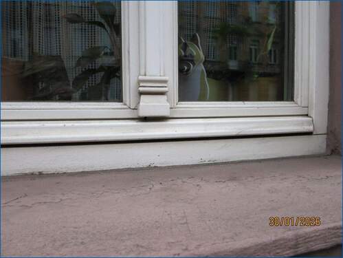 Fenster - Mehrfamilienhaus, Wohnhaus mit 186,00 m&sup2; in Frankenthal (Pfalz) zum Kaufen