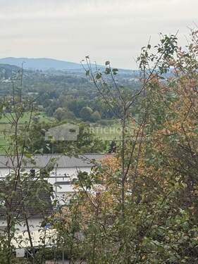 Blick-Ferne - 6 Zimmer Einfamilienhaus in Gelnhausen