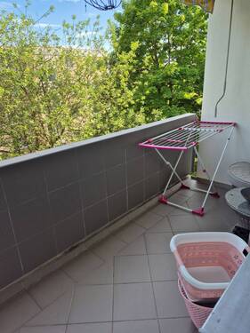 20250520_185905.jpg - 