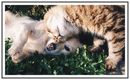 Herzlich Willkommen sagt Hensel Immobilien! :) - Durchstarten in 2026:)) - 653,00&nbsp;EUR Kaltmiete, ca.&nbsp; 35,00&nbsp;m&sup2;&nbsp;Wohnfl&auml;che