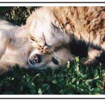 Durchstarten in 2026:)) - 653,00&nbsp;EUR Kaltmiete, ca.&nbsp; 35,00&nbsp;m&sup2;&nbsp;Wohnfl&auml;che in Berlin (PLZ: 13055) Alt-Hohenschönhausen