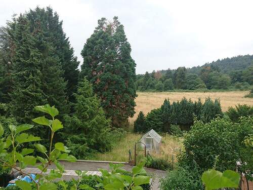 Aussicht Balkon/Terrasse - 