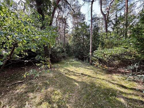 Gartengrundstück - Grundstück in Seevetal - Ramelsloh