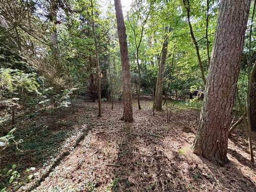 Garten mit Baumbestand - Grundstück in Seevetal - Ramelsloh zum Kaufen