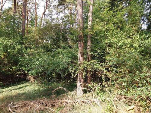 Wohnen in Sackgassenlage - 