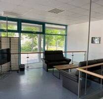 Wilhelmshöher Allee direkt am ICE Bahnhof Laden- Bürofläche - Kassel Wehlheiden