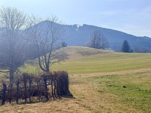 Hörnleblick von oberhalb des Grundstücks - Grundstück zum Kaufen in Bad Kohlgrub