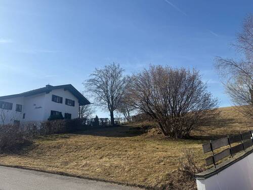 Der südliche Nachbar - 