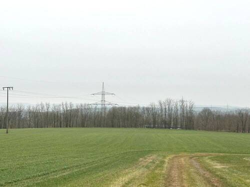 Bauerwartungsland - Gewerbeobjekt (Büro, Produktion, Verkauf) zum Kaufen in Bruchmühlbach-Miesau
