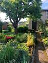 Garten mit Gartenhäuschen - 4 Zimmer Reihenhaus zum Kaufen in Eisenberg