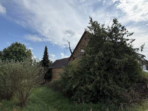 Seitenansicht - 