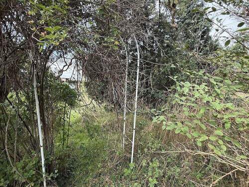 Garten - 