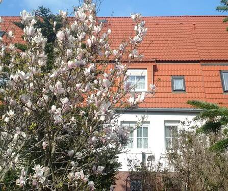 Leuna, Rückseite.jpg - 4 Zimmer Mehrfamilienhaus, Wohnhaus zum Kaufen in Leuna