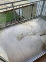 IMG_4882.jpeg - 