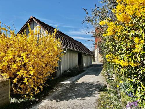 Der Fahrradschuppen... - 