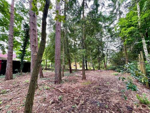 Das perfekte Stück Natur für Ihre Zukunft - 