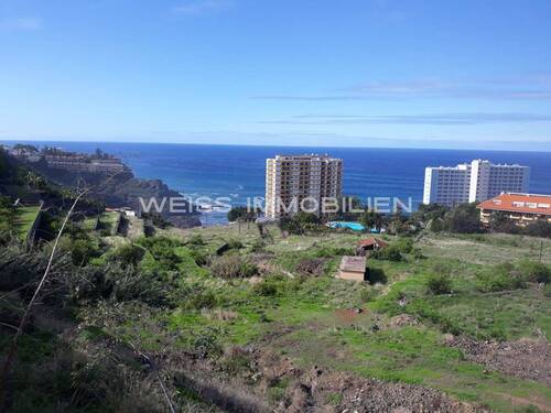 Weitläufiges Grundstück - Top Gelegenheit für Investoren - 16000 m2 Baugrundstück mit traumhaftem Meerblick in Los Realejos