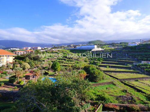 Weitläufiges Grundstück - Grundstück in Teneriffa
