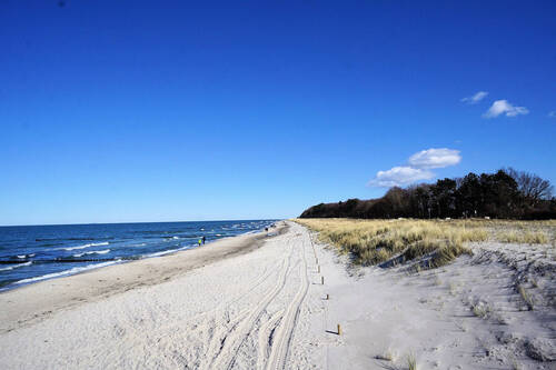 Strand und Seebrücke Zingst (3).JPG - 