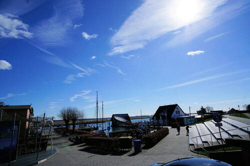 Am Hafen von Zingst (1).JPG - 2 Zimmer Etagenwohnung in Zingst