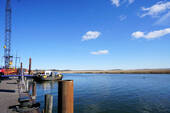 Am Hafen von Zingst (5).JPG - 