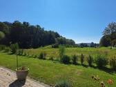 Blick vom Haus ins Grüne - 