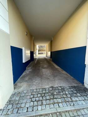 IMG_3437.jpeg - 