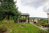 Blick aus dem Garten - 