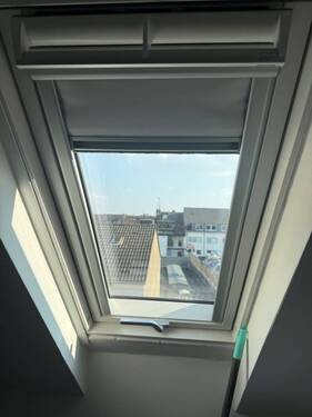 Dachfenster 2021 - 