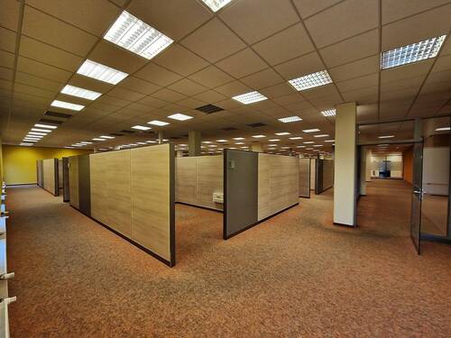 20231124_131415.jpg - 5 Zimmer Gewerbeobjekt (Büro, Produktion, Verkauf) zur Miete in Döbeln