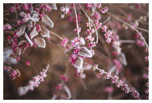 HERZLICH WILLKOMMEN sagt HENSEL IMMOBILIEN! - NOTWENDIG Berliner WBS mit DRINGLICHKEIT: Renovierter NB mit Terrassenloggia