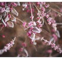 NOTWENDIG Berliner WBS mit DRINGLICHKEIT: Renovierter NB mit Terrassenloggia