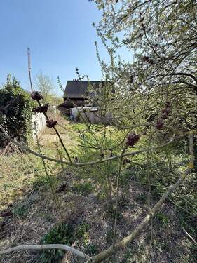 IMG_9129 (Copy).JPG - Grundstück in Leichlingen
