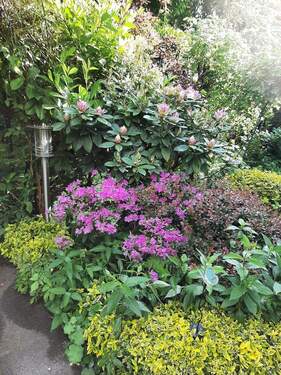 Bild 8 - 
