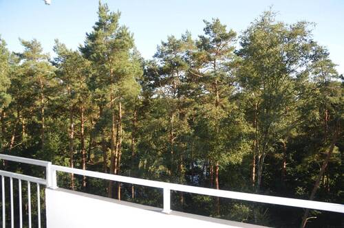 Blick vom Balkon in die Natur - 4 Zimmer Etagenwohnung zum Kaufen in Celle